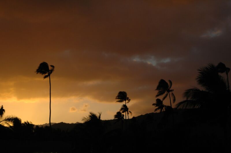 Silhouetten hoher Palmen vor einem glühend orange-braunen Abendhimmel mit dunklen Wolken, Fotografie aus der Serie «Hawaii»