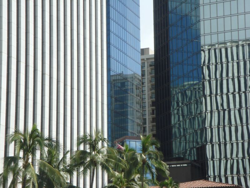 Hochhausfassaden aus hellen Lamellen und blauem Spiegelglas dicht nebeneinander, unten Palmenkronen, Fotografie aus der Serie «Honolulu»