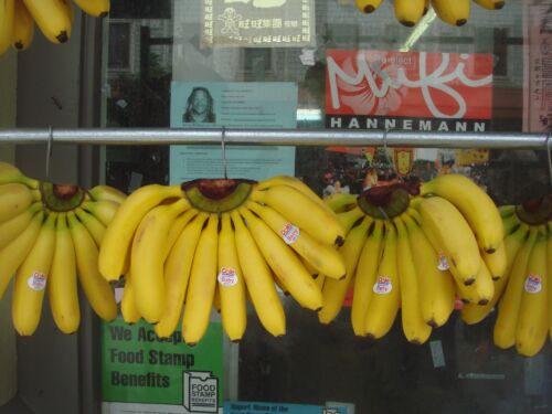 Gelbe Bananenstauden hängen an einer Stange vor einem Schaufenster mit Schildern, Fotografie aus der Serie «Honolulu»