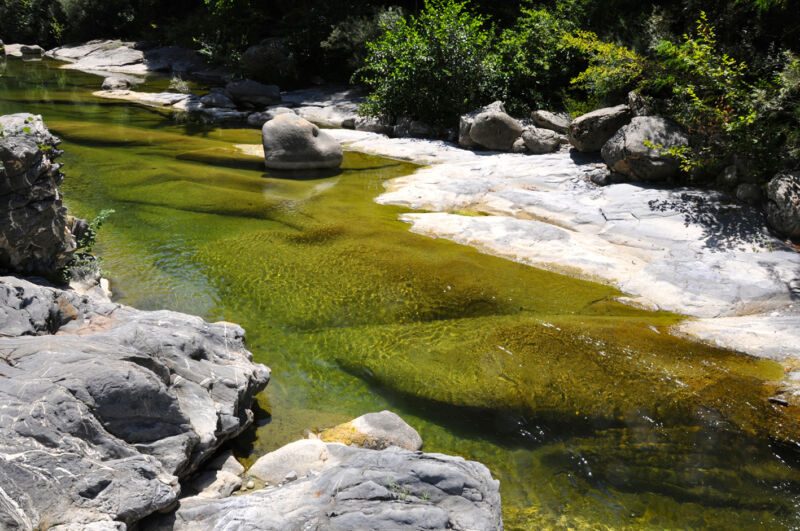 Grün schimmernder Flusslauf zwischen hellen, glatt geschliffenen Felsplatten und Ufergebüsch, Fotografie aus der Serie «An ligurischen Flüssen und Bächen»