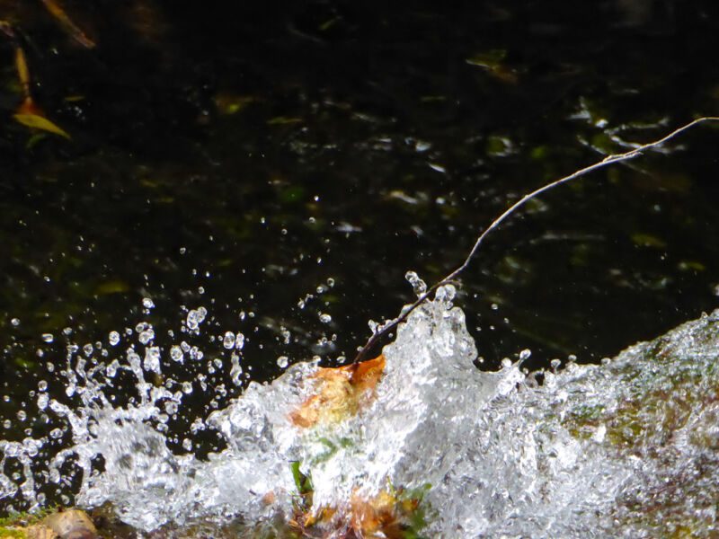 Aufspritzendes Wasser mit glitzernden Tropfen und einem gelben Blatt vor dunklem Hintergrund, Fotografie aus der Serie «An ligurischen Flüssen und Bächen»