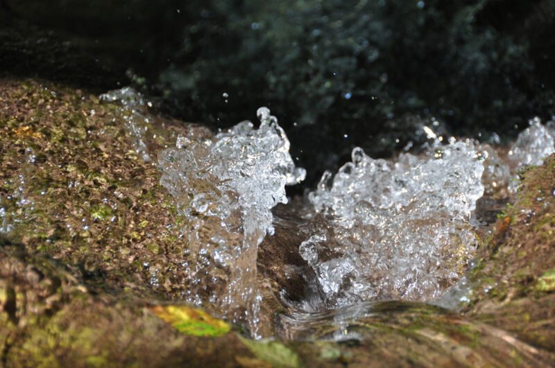 Zwei kleine Wasserfontänen sprudeln zwischen bemoosten Steinen auf, Nahaufnahme, Fotografie aus der Serie «An ligurischen Flüssen und Bächen»