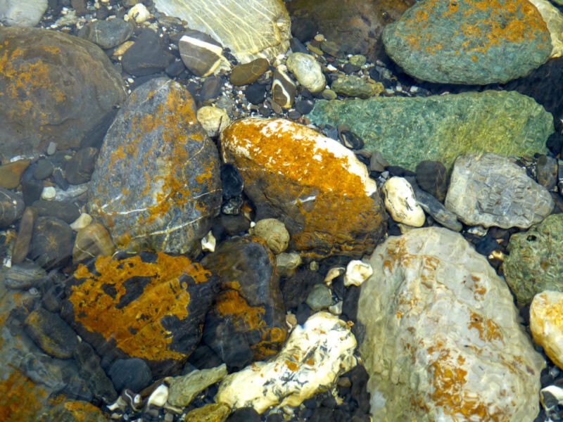 Kieselsteine mit orangen und grünlichen Flechten unter klarem Wasser, Aufsicht, Fotografie aus der Serie «An ligurischen Flüssen und Bächen»