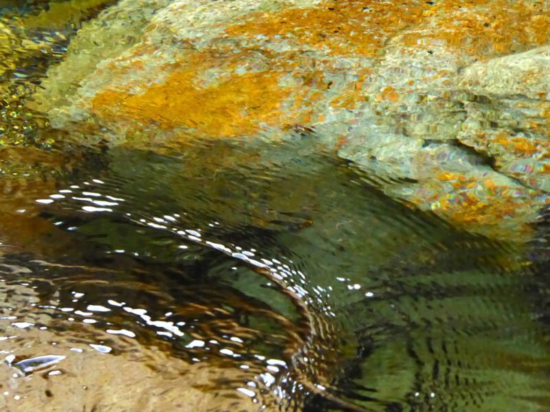 Kreisförmige Wellen in dunklem Wasser vor einem Stein mit orangegelben Flechten, Fotografie aus der Serie «An ligurischen Flüssen und Bächen»