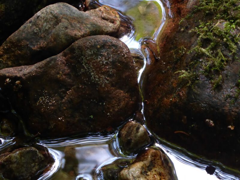 Dunkle, teils bemooste Steine in einem Bach, dazwischen schimmerndes Wasser mit hellen Lichtreflexen, Fotografie aus der Serie «Schwarzwald»