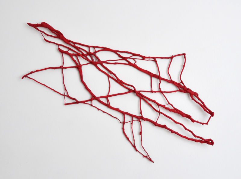 Rot, 2014, Efeuwurzeln, Acryl, 80 x 120 x 5 cm, Werk aus der Serie «Efeu»