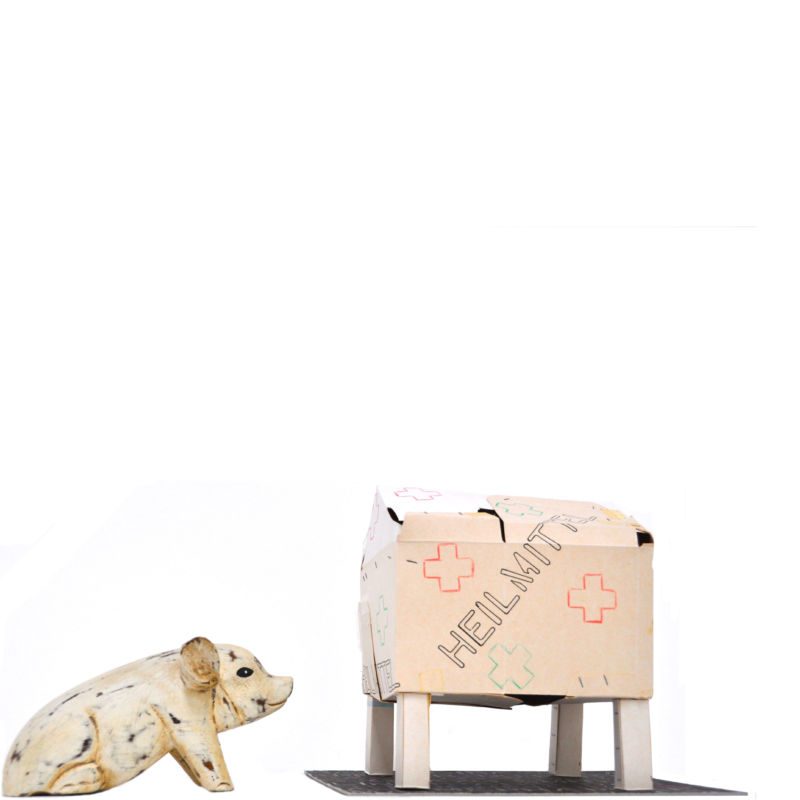 Schweinegrippe, 2009, Medikamentenschachteln, Klammer, Karton, Farbstift, Holzschwein, ca. 22 x 18 x 15 cm (mit Schwein), Objekt aus der Serie «Häuser III»