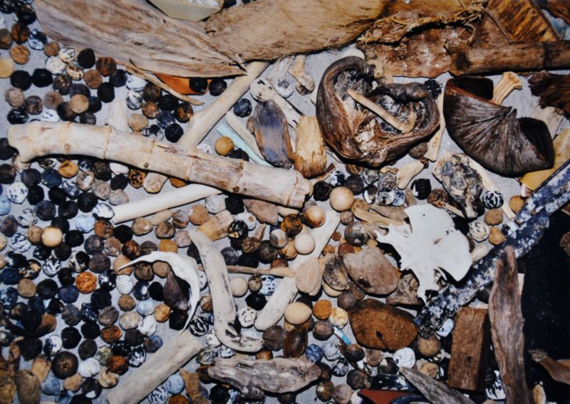 Galerie Kunstforum Winterthur 1999: Bodeninstallation. Gemeinschaftsarbeit mit Andreas Fritschi, Katharina Rapp: Strandgut aus Hawaii, Pflanzenteile, Holz, Knochen, Plastik, Seile, Werk aus der Serie «Strandgut II»