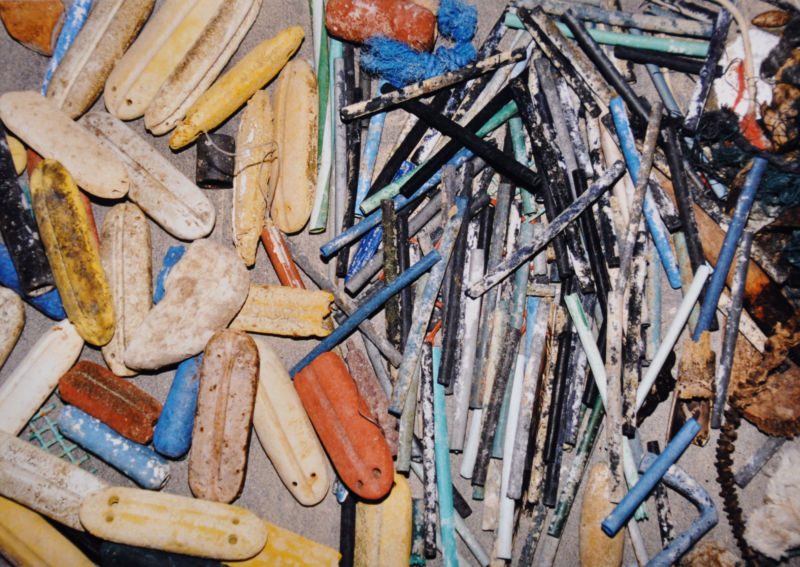 Galerie Kunstforum Winterthur 1999: Bodeninstallation. Gemeinschaftsarbeit mit Andreas Fritschi, Katharina Rapp: Strandgut aus Hawaii, Pflanzenteile, Holz, Knochen, Plastik, Seile, Werk aus der Serie «Strandgut II»